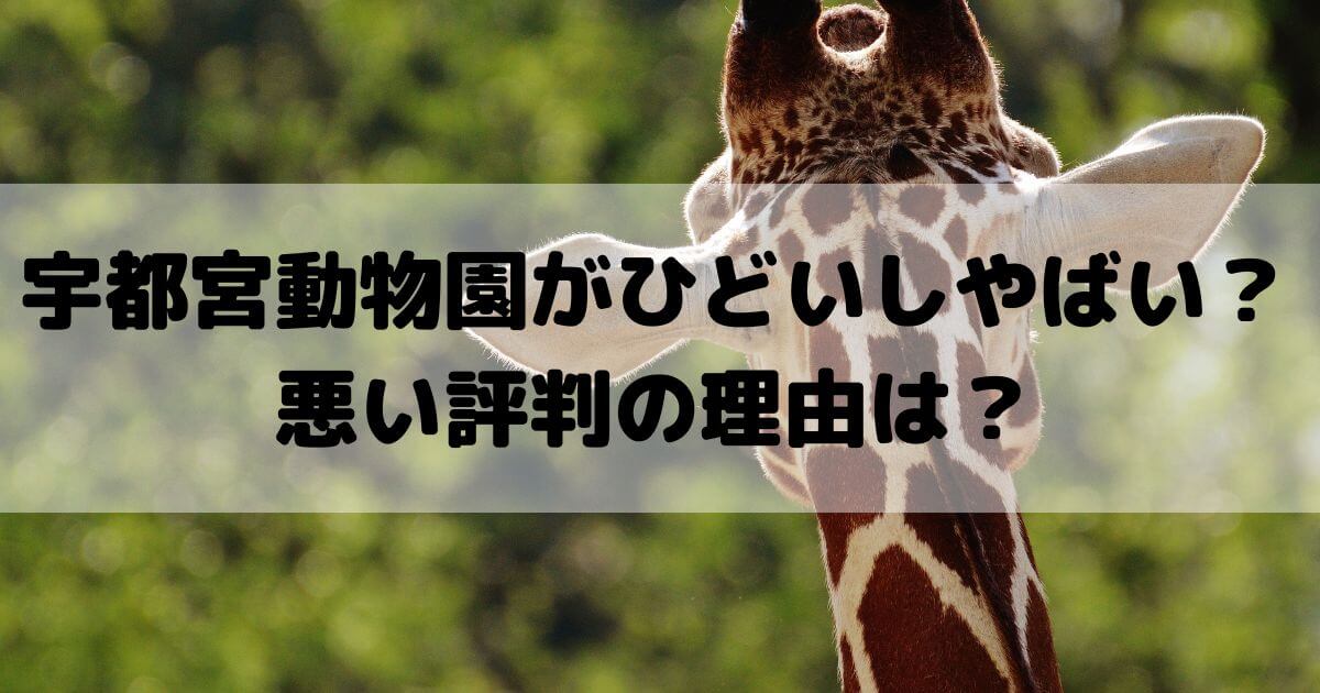 宇都宮動物園 ひどい